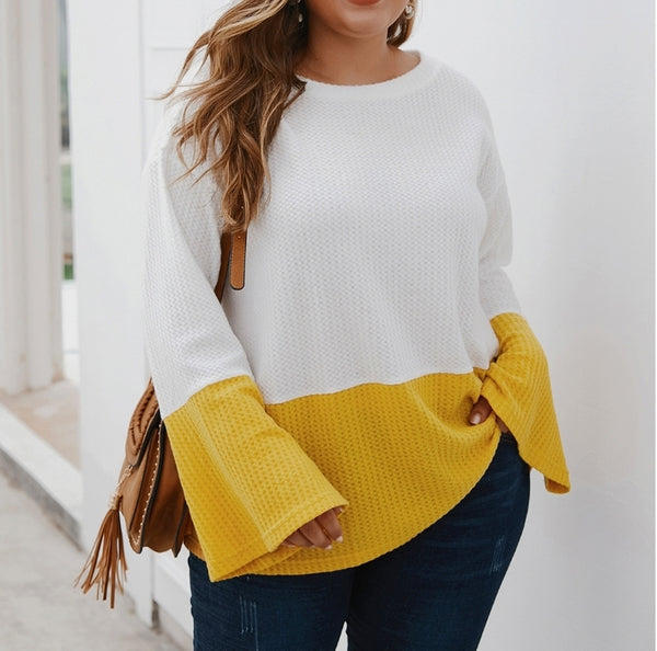 Flare Sleeve Color Block